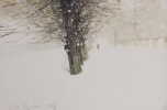 gal/fineart/Landscape/_thb_Snowfall.jpg